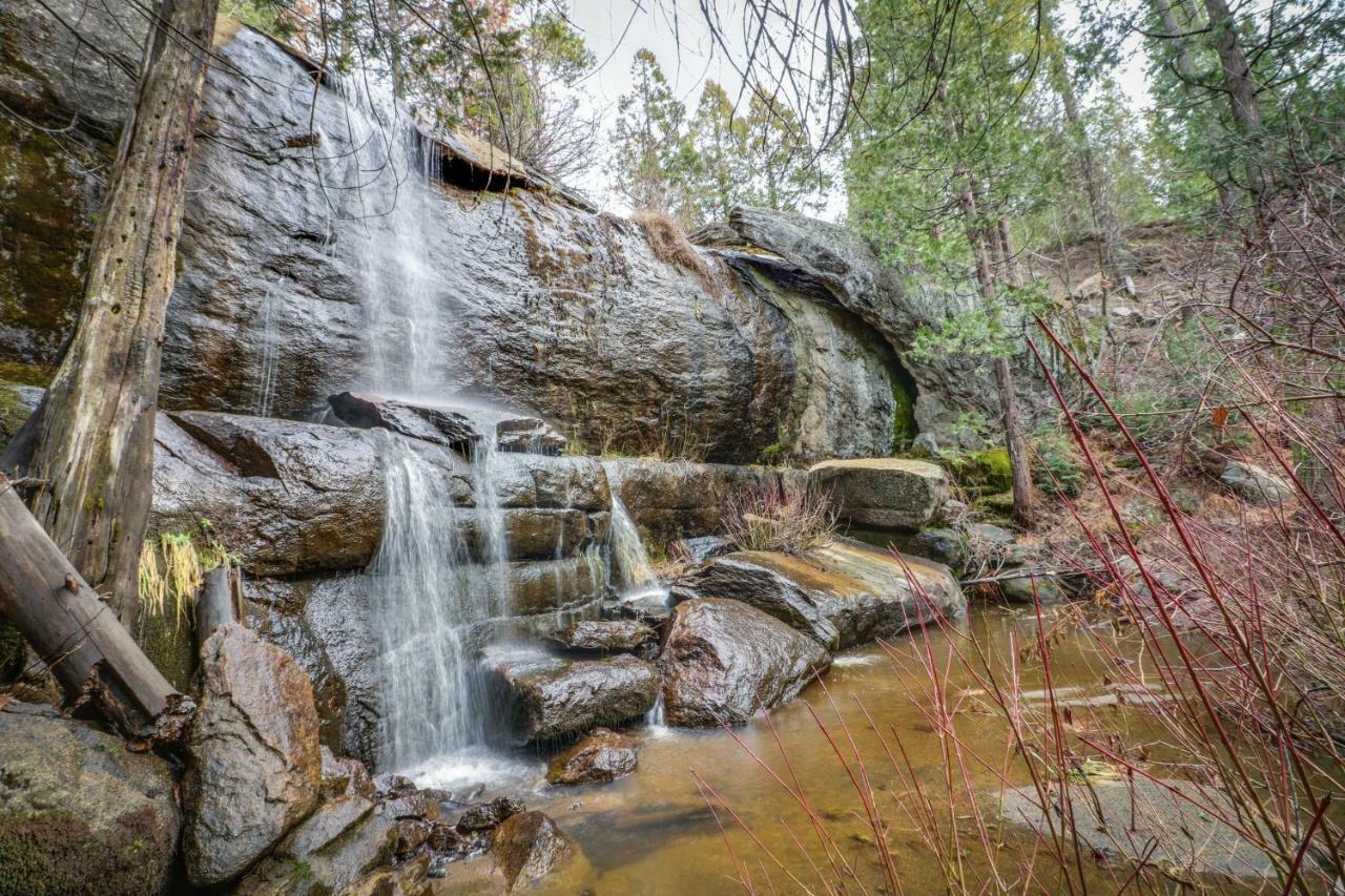 שייבר לייק Forest Falls מראה חיצוני תמונה